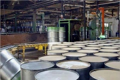 Sóc Trăng: Bắt giữ tàu chở lậu hơn 700.000 lít dầu trên biển