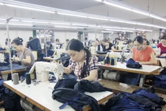 (Ảnh minh họa: Vũ Sinh/TTXVN)