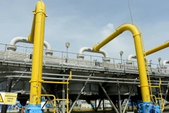 Ảnh minh họa. (Nguồn: THX/TTXVN)