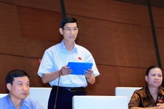 Đại biểu Quốc hội tỉnh Thái Bình Đỗ Văn Vẻ phát biểu ý kiến. (Ảnh: An Đăng/TTXVN)