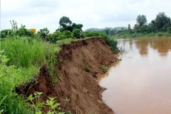 (Ảnh minh họa: Đặng Tuấn/TTXVN)