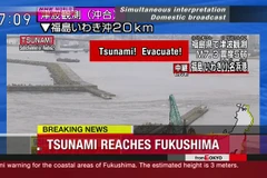 (Nguồn: NHK World Japan)