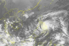 (Nguồn: nchmf.gov.vn)