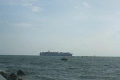 (Ảnh minh họa: Đoàn Mạnh Dương/TTXVN)