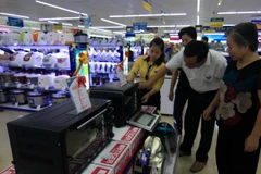 (Ảnh minh họa: Vũ Sinh/TTXVN)