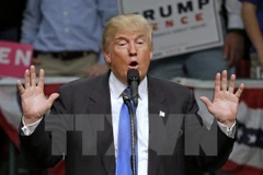 Ông Donald Trump trong chiến dịch vận động tranh cử ở Concord ngày 3/11. (Nguồn: AP/TTXVN)