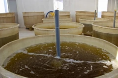 (Ảnh minh họa: Huỳnh Thế Anh/TTXVN)