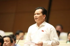 Đại biểu Quốc hội tỉnh Thanh Hóa Bùi Sỹ Lợi. (Ảnh: Phương Hoa/TTXVN)