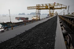 (Ảnh minh họa: Trọng Đạt/TTXVN)