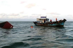 (Ảnh minh họa: Huỳnh Ngọc Sơn/TTXVN)