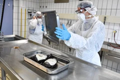 Ảnh minh họa. (Nguồn: EPA/TTXVN)