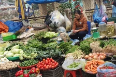 Các loại thực phẩm được bày bán đã khá đang dạng và đầy đủ trong ngày mùng 4 Tết. (Ảnh: PV/Vietnam+)