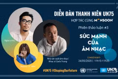Hàng trăm bạn trẻ Việt Nam đã tham gia Diễn đàn Thanh niên trực tuyến UN75. (Ảnh: PV/Vietnam+)