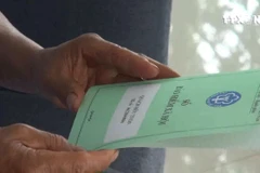 (Ảnh minh họa: PV/Vietnam+)