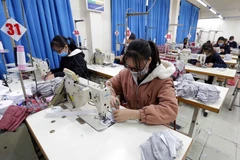 Nhiều công ty phải thu hẹp sản xuất do dịch COVID-19. (Ảnh minh hoạ: Trần Việt/TTXVN)