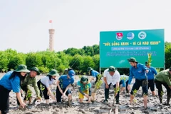 Trong tháng Ba tới, Trung ương Đoàn và Đoàn thanh niên các địa phương trên cả nước sẽ tổ chức nhiều hoạt động sôi nổi để hưởng ứng Tháng Thanh niên. (Ảnh minh họa: TTXVN)