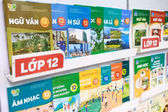 Nhà xuất bản Giáo dục Việt Nam cho biết sẽ in bổ sung để cung ứng sách giáo khoa cho khu vực bị mưa lũ. (Ảnh: PV/Vietnam+)