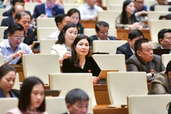 Các đại biểu Quốc hội làm việc tại hội trường trong Kỳ họp bất thường lần thứ 5, Quốc hội khóa XV. (Ảnh: CTV/Vietnam+)