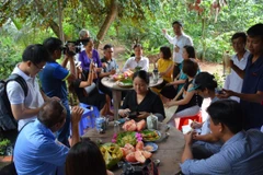 Các doanh nghiệp lữ hành mong sớm được phục vụ du khách trở lại. (Ảnh minh họa: CTV/Vietnam+)