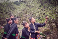 Lãnh đạo ngành đề nghị người dân không lơ là phòng chống dịch COVID-19. (Ảnh minh họa: M.Mai/Vietnam+)