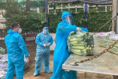 Những ‘Chuyến xe thực phẩm 0 đồng’ ấm áp nghĩa tình. (Ảnh: CTV/Vietnam+)