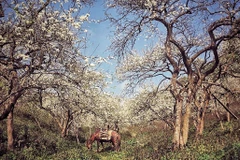 Du lịch nội địa với những điểm đến gần gũi thiên nhiên đang là xu hướng của năm 2021. (Ảnh: CTV/Vietnam+)