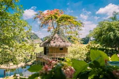 Một góc khu nghỉ dưỡng ngay giữa đầm sen ở Ninh Bình. (Ảnh: PV/Vienam+)