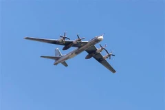 Máy bay ném bom Tu-95 của Nga. (Nguồn: Getty Images)