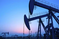 Ảnh minh họa. (Nguồn: Getty Images)