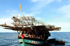 Ảnh minh họa. (Nguồn: TTXVN)