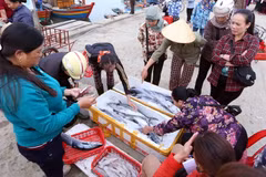 Hoạt động mua bán hải sản ở cảng cá Cửa Sót, xã Thạc Kim, huyện Lộc Hà (Hà Tĩnh). (Ảnh: Quang Quyết/TTXVN)