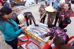 Hoạt động mua bán hải sản ở cảng cá Cửa Sót, xã Thạc Kim, huyện Lộc Hà (Hà Tĩnh). (Ảnh: Quang Quyết/TTXVN)