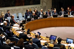 Phiên họp Hội đồng Bảo an Liên hợp quốc. (Nguồn: EPA/TTXVN)