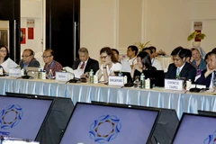 Đại diện các nền kinh tế tham dự buổi họp thường niên. (Ảnh: Thế Anh/TTXVN)