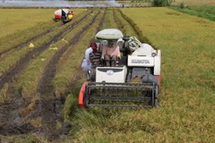 Thu hoạch lúa Đông Xuân 2016-2017 tại xã Vị Đông, huyện Vị Thủy, Hậu Giang. (Ảnh: Duy Khương/TTXVN)