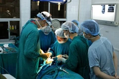 Ảnh minh họa. (Nguồn: TTXVN)