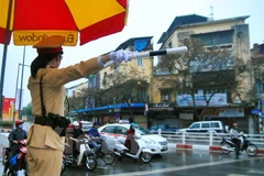 Ảnh chỉ có tính chất minh họa. (Nguồn: Việt Phương/Vietnam+)