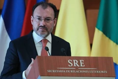 Ngoại trưởng Mexico Luis Videgaray phát biểu tại Mexico City ngày 14/8. (Nguồn: EPA/TTXVN)