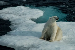 Ảnh minh họa. (Nguồn: CBC)