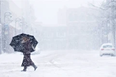 Tuyết rơi dày ở vùng Niagara. (Nguồn: THE CANADIAN PRESS)