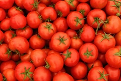 Ảnh minh họa. (Nguồn: Global Look Press)