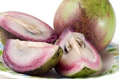 Trái vú sữa Việt Nam đã chính thức bước vào thị trường Mỹ