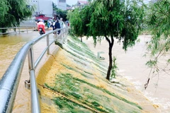 Ảnh minh họa. (Nguồn: TTXVN)