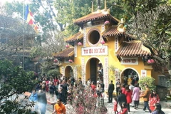 Ảnh minh họa. (Nguồn: TTXVN)