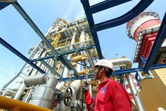 Kiểm tra hệ thống vận hành Nhà máy điện Nhơn Trạch 2 thuộc Tập đoàn Dầu khí Việt Nam. (Ảnh: Huy Hùng/TTXVN)