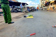 (Ảnh minh họa: Trung Hiếu/TTXVN)