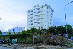 (Ảnh minh họa: Thanh Liêm/TTXVN)