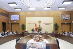 Ủy ban Thường vụ Quốc hội biểu quyết về việc ký Hiệp định Bảo hiểm xã hội giữa Việt Nam và Hàn Quốc. (Ảnh: Doãn Tấn/TTXVN)