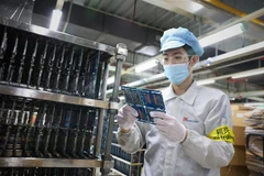 (Ảnh minh họa: Danh Lam/TTXVN)