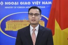 Thứ trưởng Ngoại giao Đặng Hoàng Giang trả lời phỏng vấn về những đóng góp và kỳ vọng của Việt Nam tại Diễn đàn Hợp tác kinh tế châu Á- Thái Bình Dương (APEC) năm 2021. (Ảnh: TTXVN)